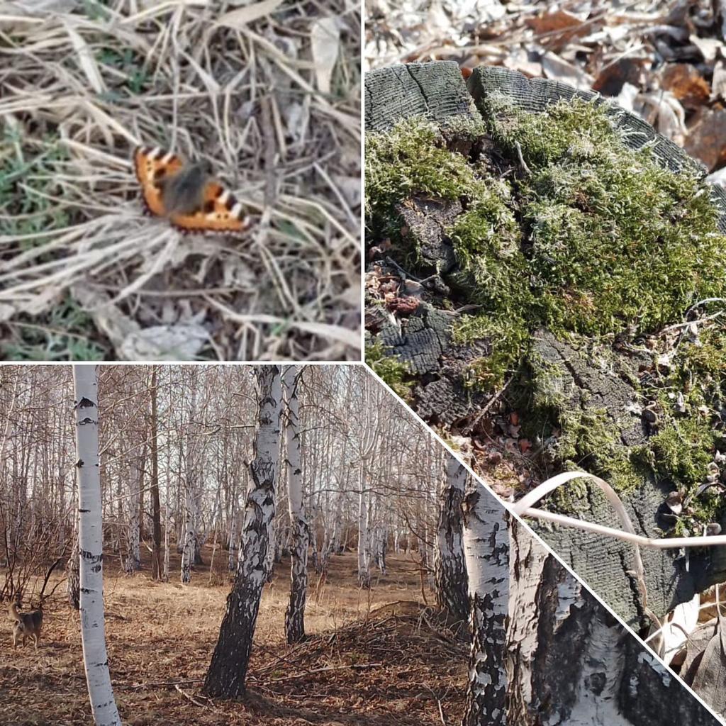 Неделя психологии. День первый.